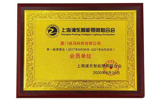 香港蓝狮在线受邀加入上海浦东智能照明联合会，与智慧照明、物联网、智能化等领域生态链的上下游企业，共同推动智慧灯杆产业的应用和发展。