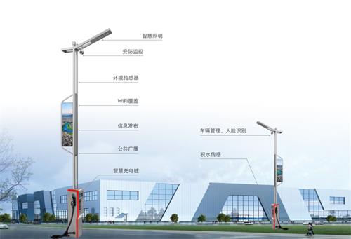居民百姓对于公共安全和保障的需求持续增加，因此可以借助智慧路灯杆系统，实现多功能、多用途的电子警察、电子保安功能，助力营造安全和谐社会氛围。