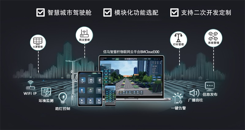 智慧路灯杆物联网云平台.jpg