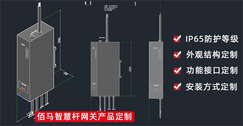 面对不同应用场景和应用功能的智慧路灯杆，除了市面上标准化的智慧杆网关，还可以选择定制网关，开发专属应用功能。