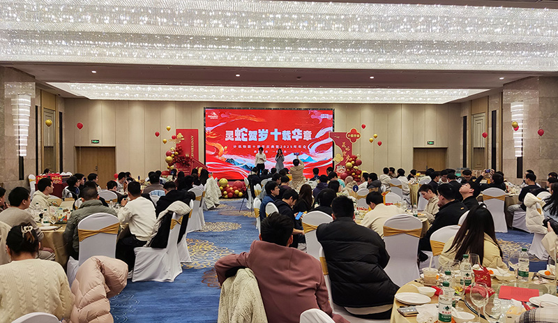 蓝狮年会.jpg